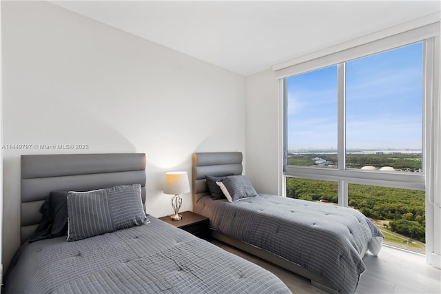 bedroom featuring multiple windows and light hardwood / wood-style flooring