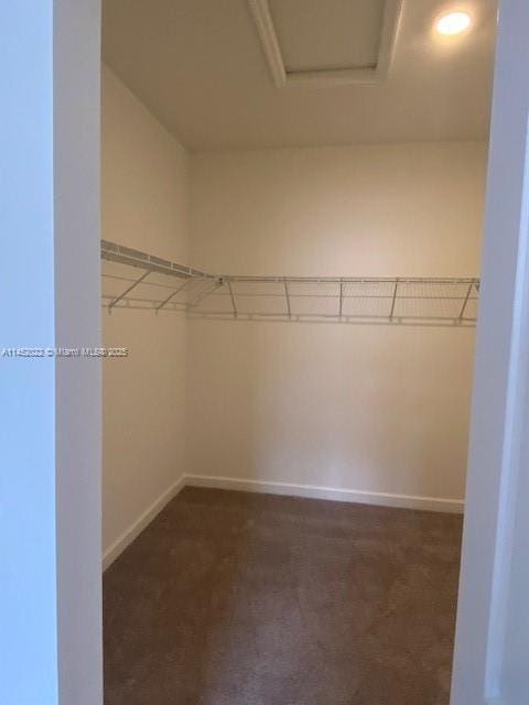 view of walk in closet