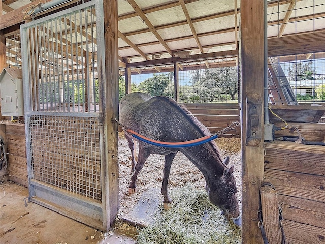 view of horse barn