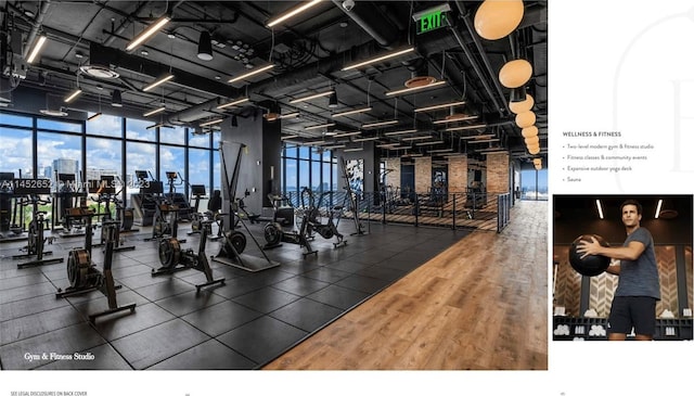 workout area featuring expansive windows and dark hardwood / wood-style floors