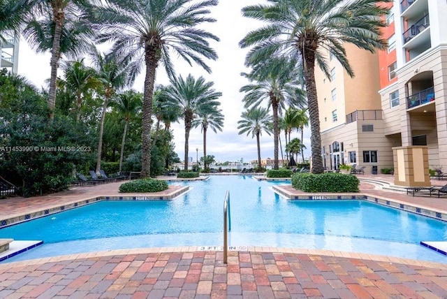 view of swimming pool