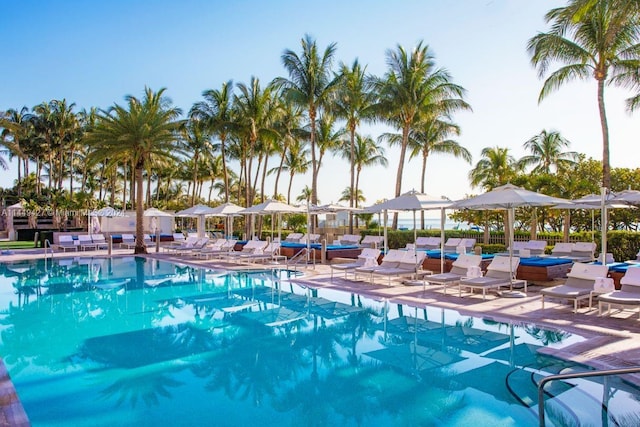 view of pool with a patio area