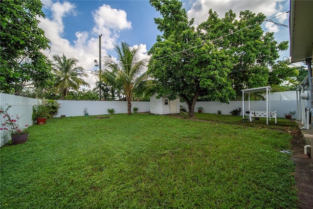 view of yard with a storage unit