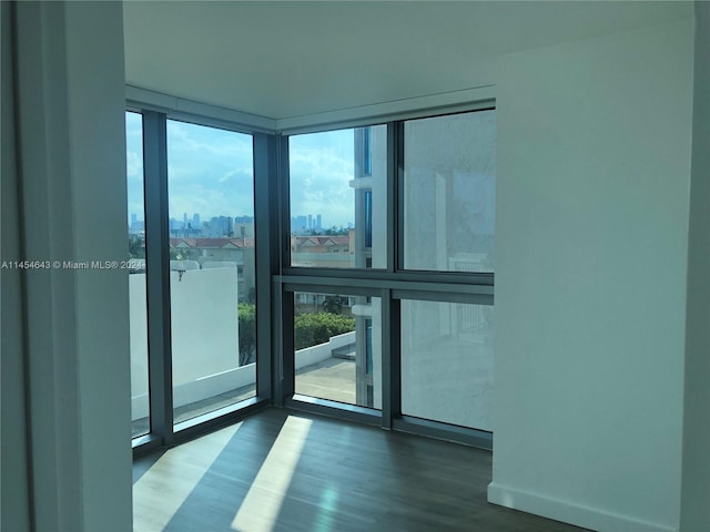 unfurnished room with floor to ceiling windows and wood-type flooring