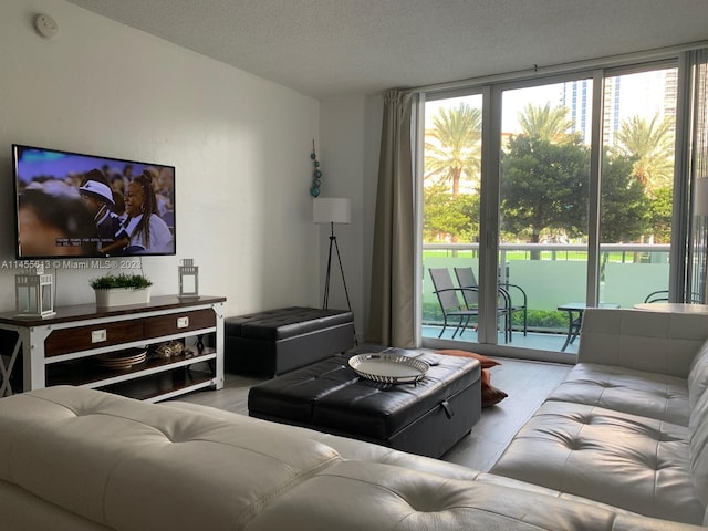 living room featuring a textured ceiling