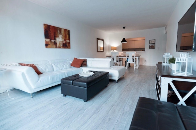 living room featuring light hardwood / wood-style floors