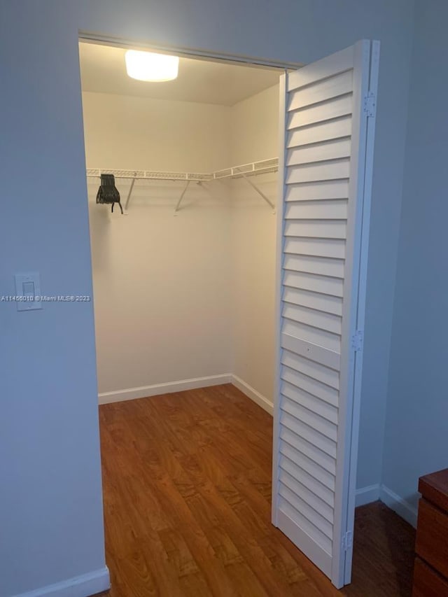 spacious closet with hardwood / wood-style floors