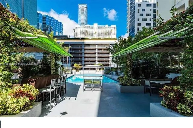 view of swimming pool with a patio