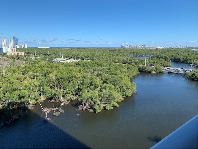 bird's eye view featuring a water view