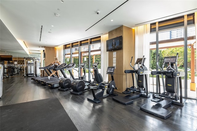 exercise room featuring floor to ceiling windows and dark wood-type flooring