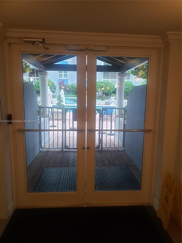 entryway with plenty of natural light