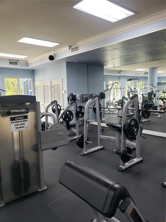 workout area featuring crown molding and plenty of natural light