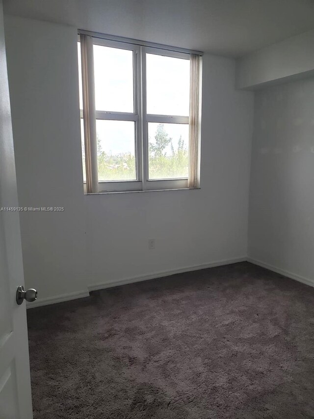 carpeted empty room with expansive windows