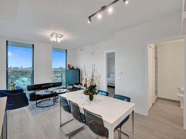 dining area featuring light hardwood / wood-style floors and track lighting