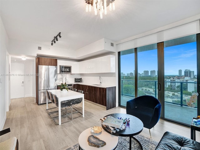 living room featuring a chandelier, light hardwood / wood-style floors, rail lighting, and sink