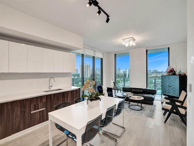 dining room featuring track lighting, plenty of natural light, sink, and light hardwood / wood-style flooring