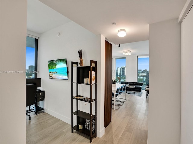 hall featuring floor to ceiling windows and light hardwood / wood-style flooring