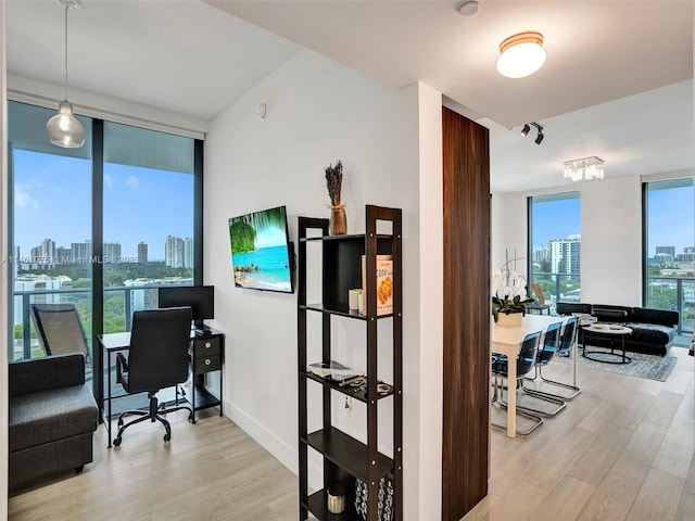 office featuring light hardwood / wood-style flooring