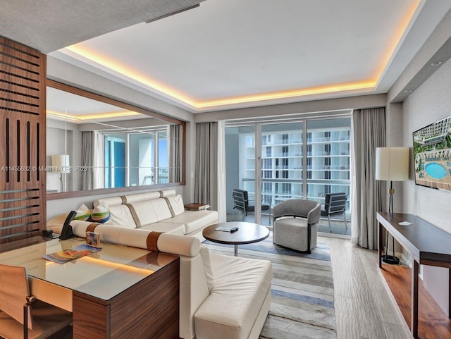 living room with a raised ceiling and light hardwood / wood-style flooring