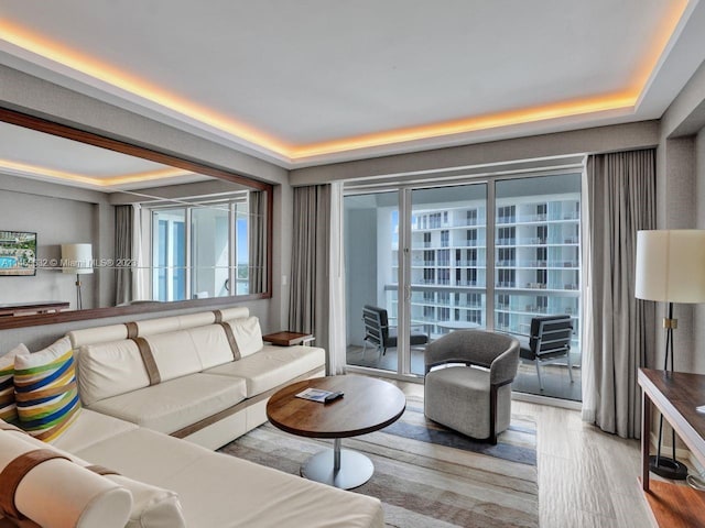 living room with a raised ceiling and light wood-type flooring