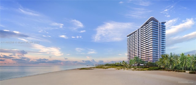 property view of water featuring a view of the beach