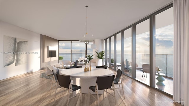 dining room featuring light hardwood / wood-style floors, a wall of windows, and a water view