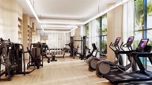 exercise room featuring expansive windows, a healthy amount of sunlight, and light wood-type flooring