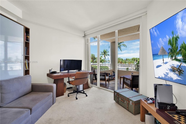 1 Century Ln Unit 209, Miami Beach, FL 33139 - photo 36