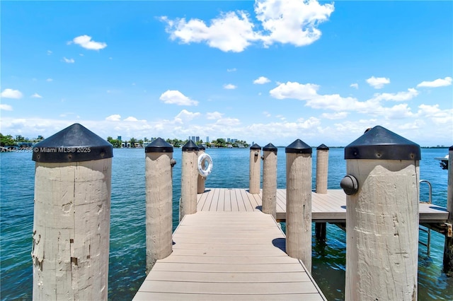 1 Century Ln Unit 209, Miami Beach, FL 33139 - photo 46