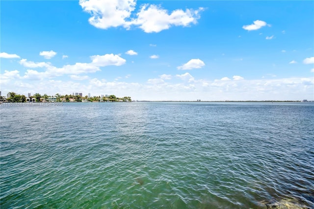 1 Century Ln Unit 209, Miami Beach, FL 33139 - photo 61