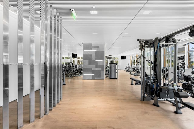 gym featuring light hardwood / wood-style floors and a wealth of natural light