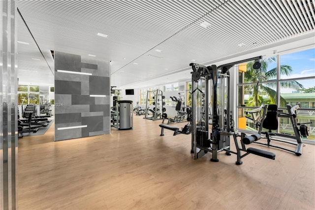 exercise room featuring light hardwood / wood-style flooring