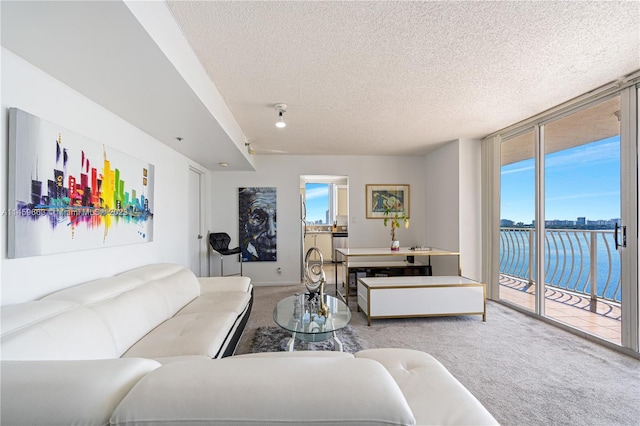 carpeted living room featuring a water view and a textured ceiling