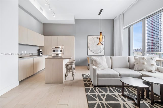 living room with light hardwood / wood-style floors and rail lighting