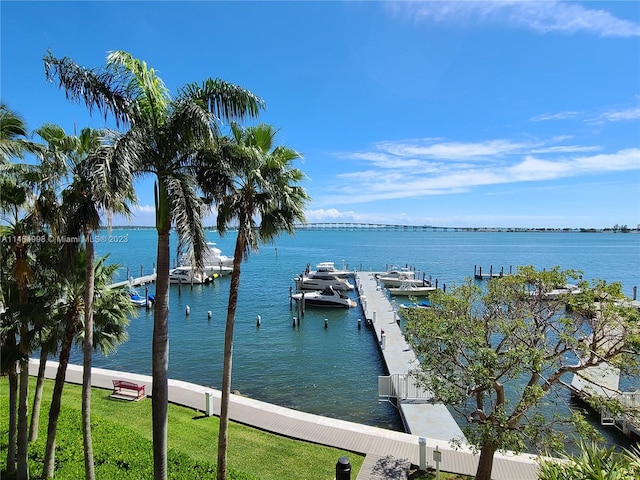 view of water feature with a boat dock