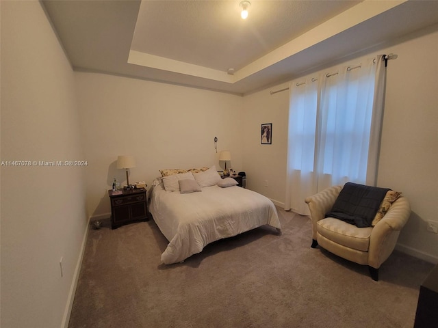 carpeted bedroom featuring a raised ceiling