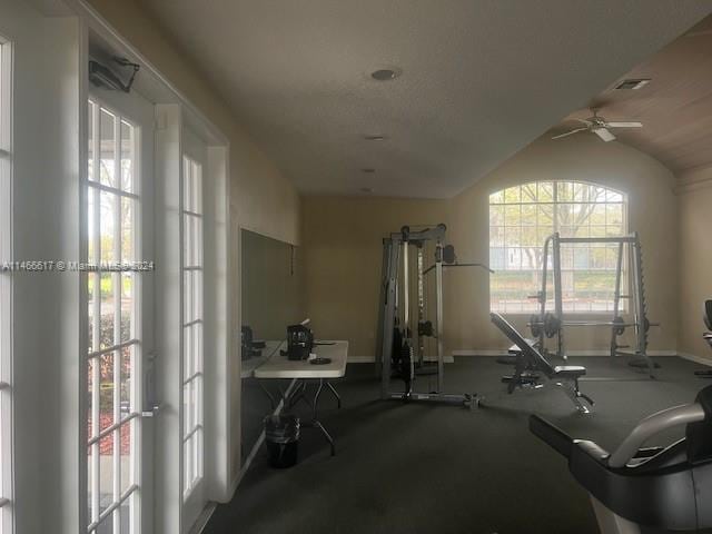 workout area featuring carpet floors, vaulted ceiling, and ceiling fan