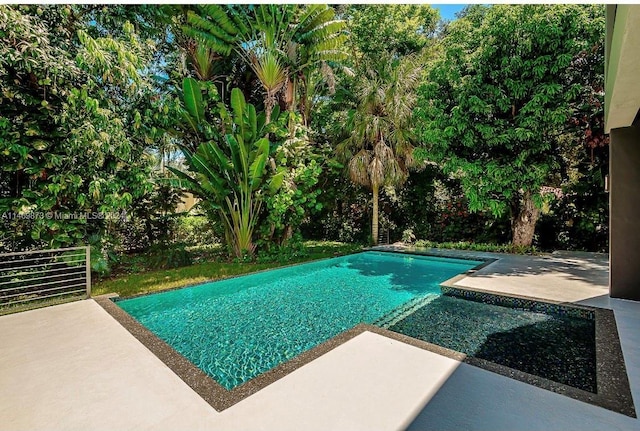 view of swimming pool with a patio area