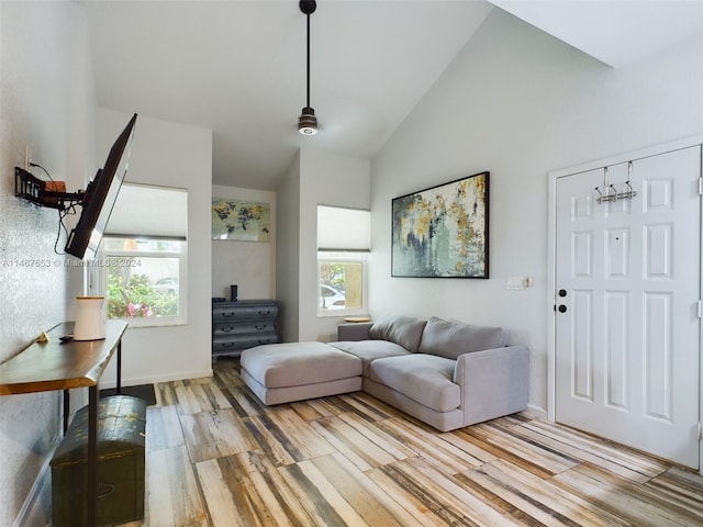 living room with wood-type flooring and high vaulted ceiling