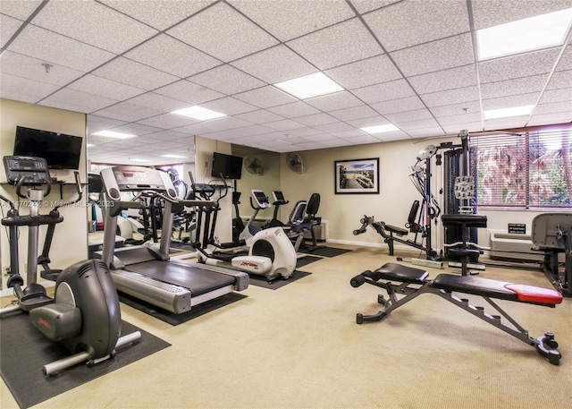 exercise room featuring a paneled ceiling and carpet