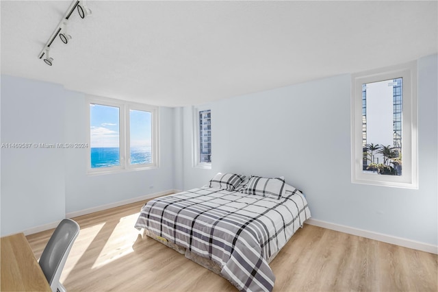 bedroom with rail lighting and light hardwood / wood-style flooring