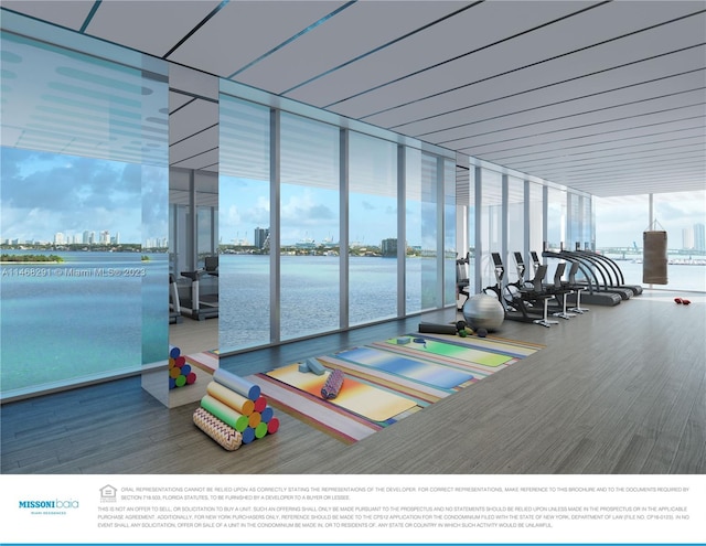 exercise room with a water view, expansive windows, and hardwood / wood-style flooring