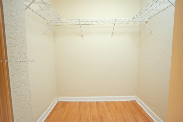 spacious closet featuring wood-type flooring