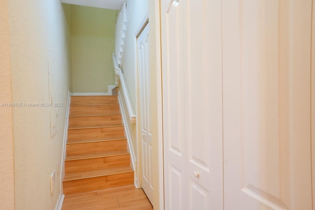 stairway with wood-type flooring