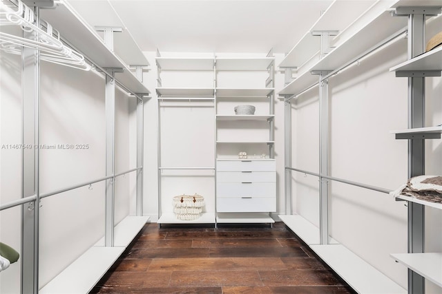 spacious closet featuring dark hardwood / wood-style flooring