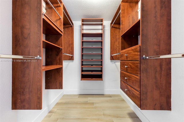 spacious closet with light hardwood / wood-style flooring