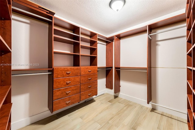 walk in closet featuring light hardwood / wood-style floors