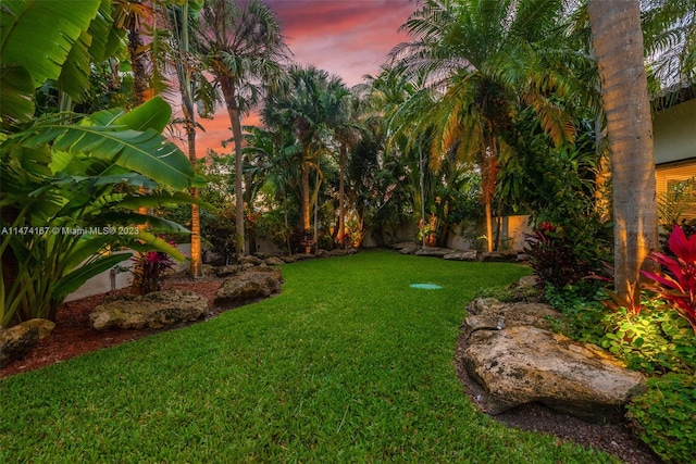 view of yard at dusk