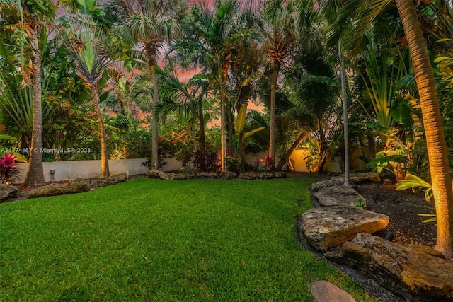 view of yard at dusk