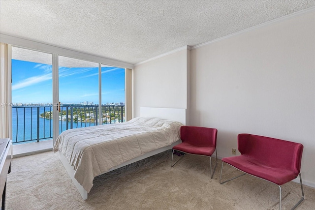 bedroom featuring a water view, a textured ceiling, light colored carpet, and ornamental molding